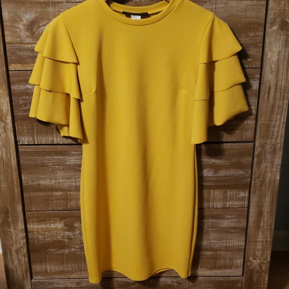 Ruffle Sleeve Dress